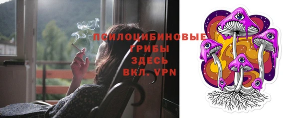 соль ск Алексеевка