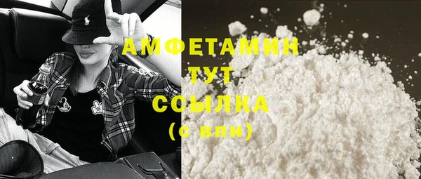 дмт Абаза